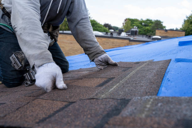 Best Storm Damage Roof Repair  in Bogota, NJ